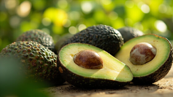 can you freeze avocados