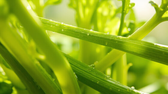 can you freeze celery