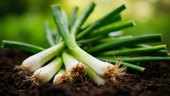 can you freeze green onions
