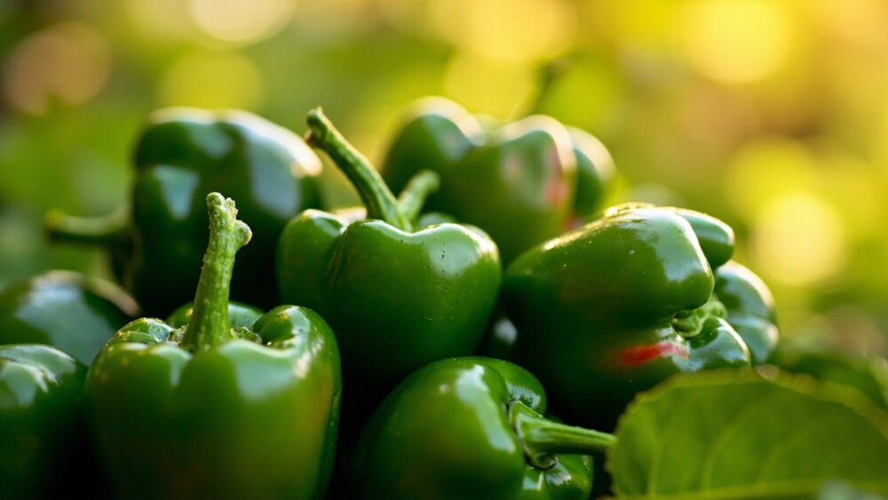 can you freeze jalapenos