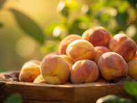 how to preserve peaches