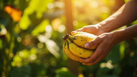 how to store bananas