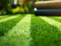 how to stripe a lawn
