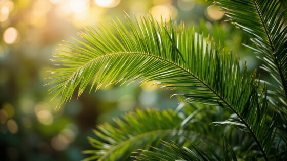 is majesty palm toxic to cats