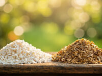 perlite vs vermiculite