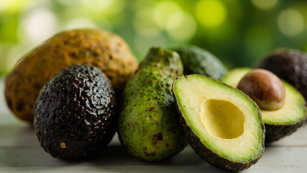 types of avocados
