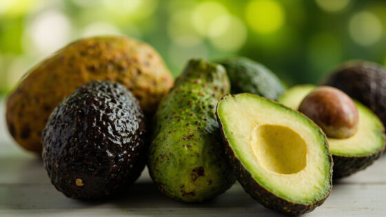types of avocados