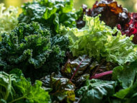 types of leafy greens