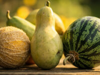 types of melons