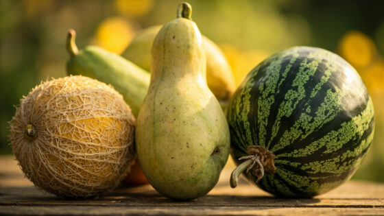 types of melons