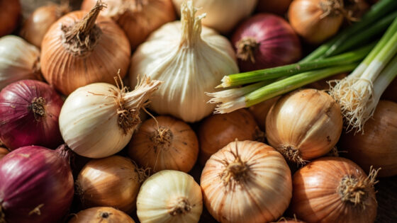 types of onions