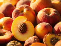 types of peaches