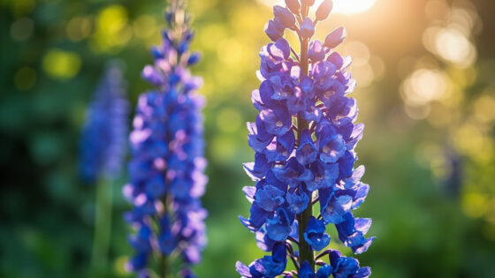 when do delphiniums bloom