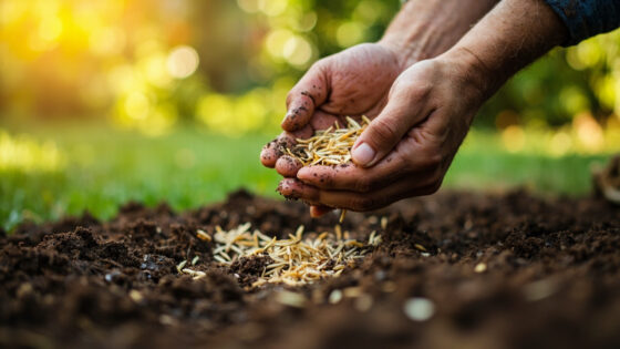 when to plant ryegrass